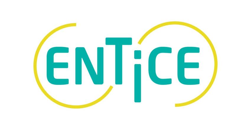 Entice logo