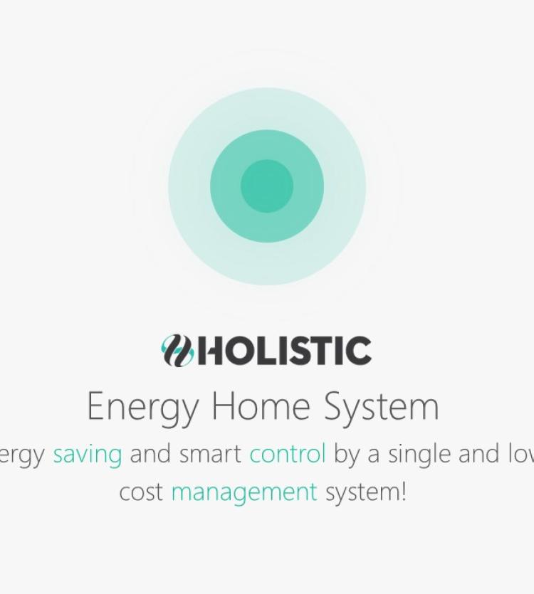 HOLISTIC EHS