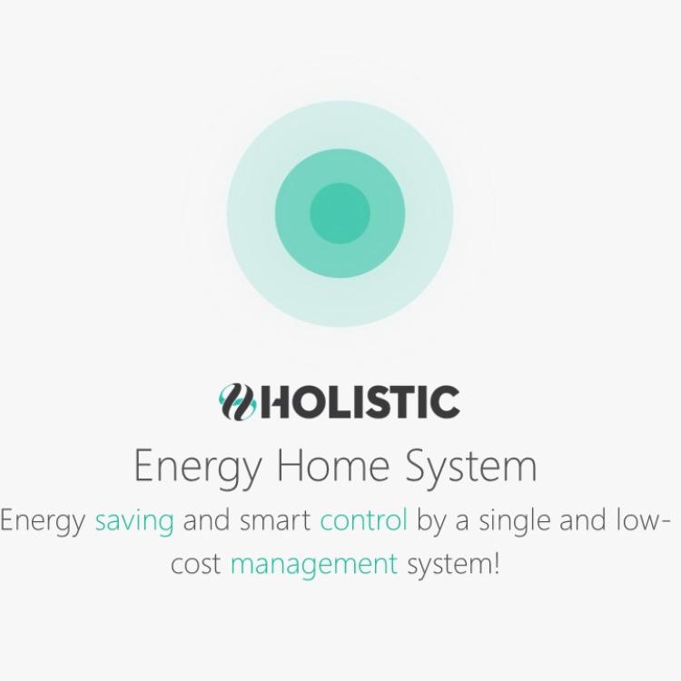 HOLISTIC EHS
